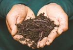compostage à domicile proposés gratuitement par Ipalle